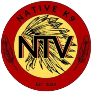 NTV-Logo-1